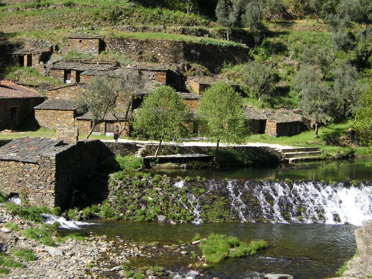 A Charming , Traditional Cottage At Quinta Da Ribeira Vila Nova de Poiares Exteriör bild