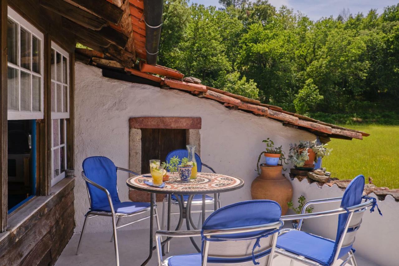 A Charming , Traditional Cottage At Quinta Da Ribeira Vila Nova de Poiares Exteriör bild